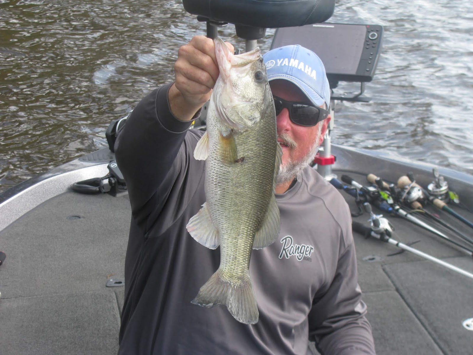 Backwateradventures Outer Banks Bass Fishing