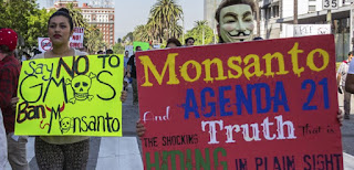 Monsanto en el banquillo