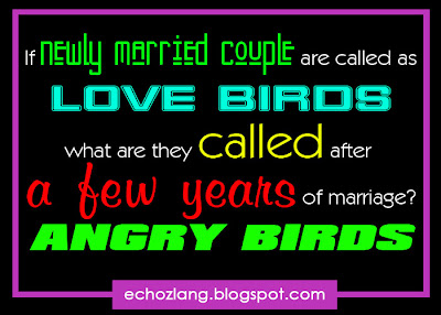If newly married couple are called love birds. What do the called after a few years of marriage?