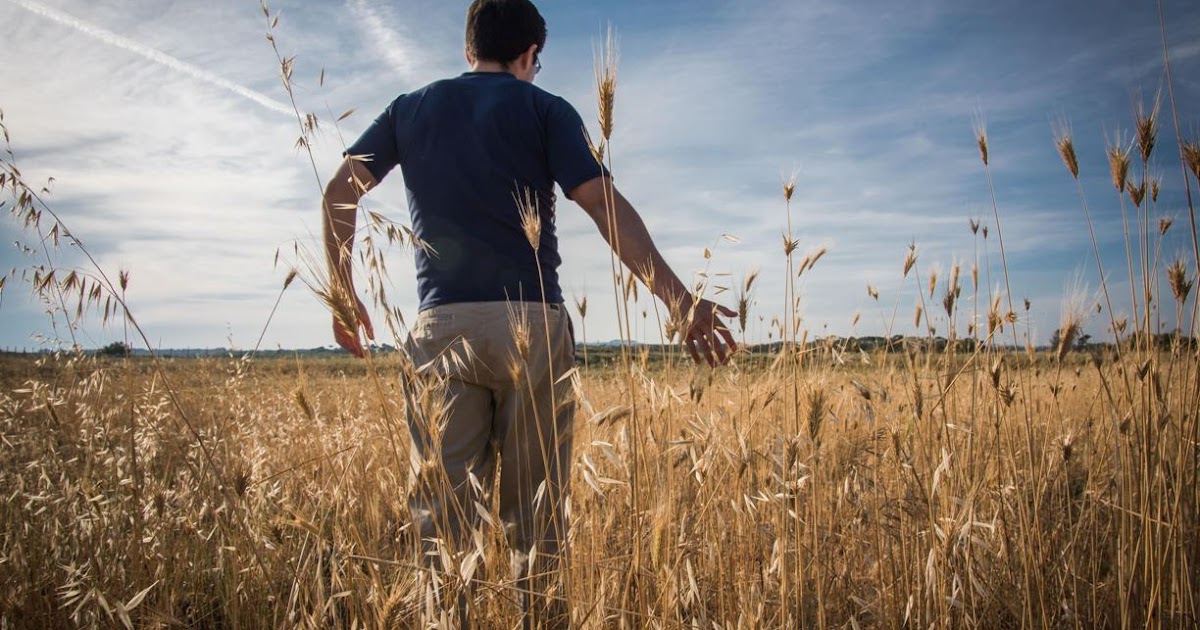 Sólo desde el amor la libertad germina