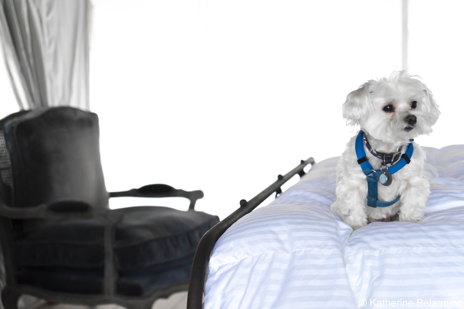 California Weekend Getaway Buellton Beyond Pea Soup Travel the World