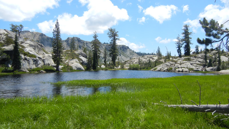 Peachy Hiker: July 2018 updates Grouse Ridge, Donner Area