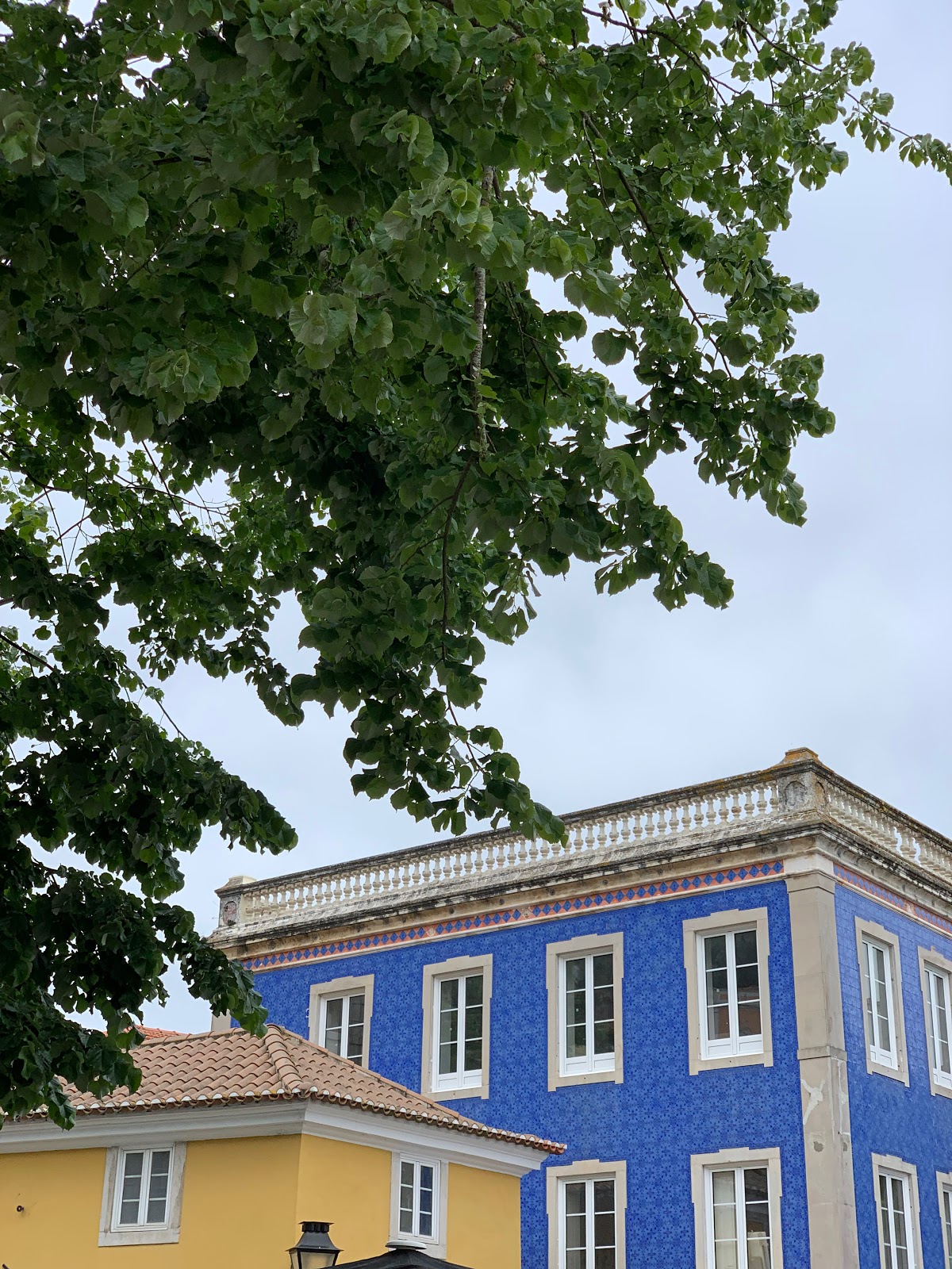 Travel // Cascais Part Two, Sintra {AD with Visit Cascais} Roses and