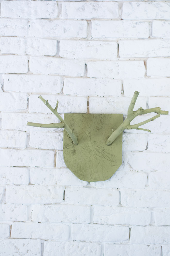 Trofeo ramas decorativas diy Trofeo ramas decorativas diy