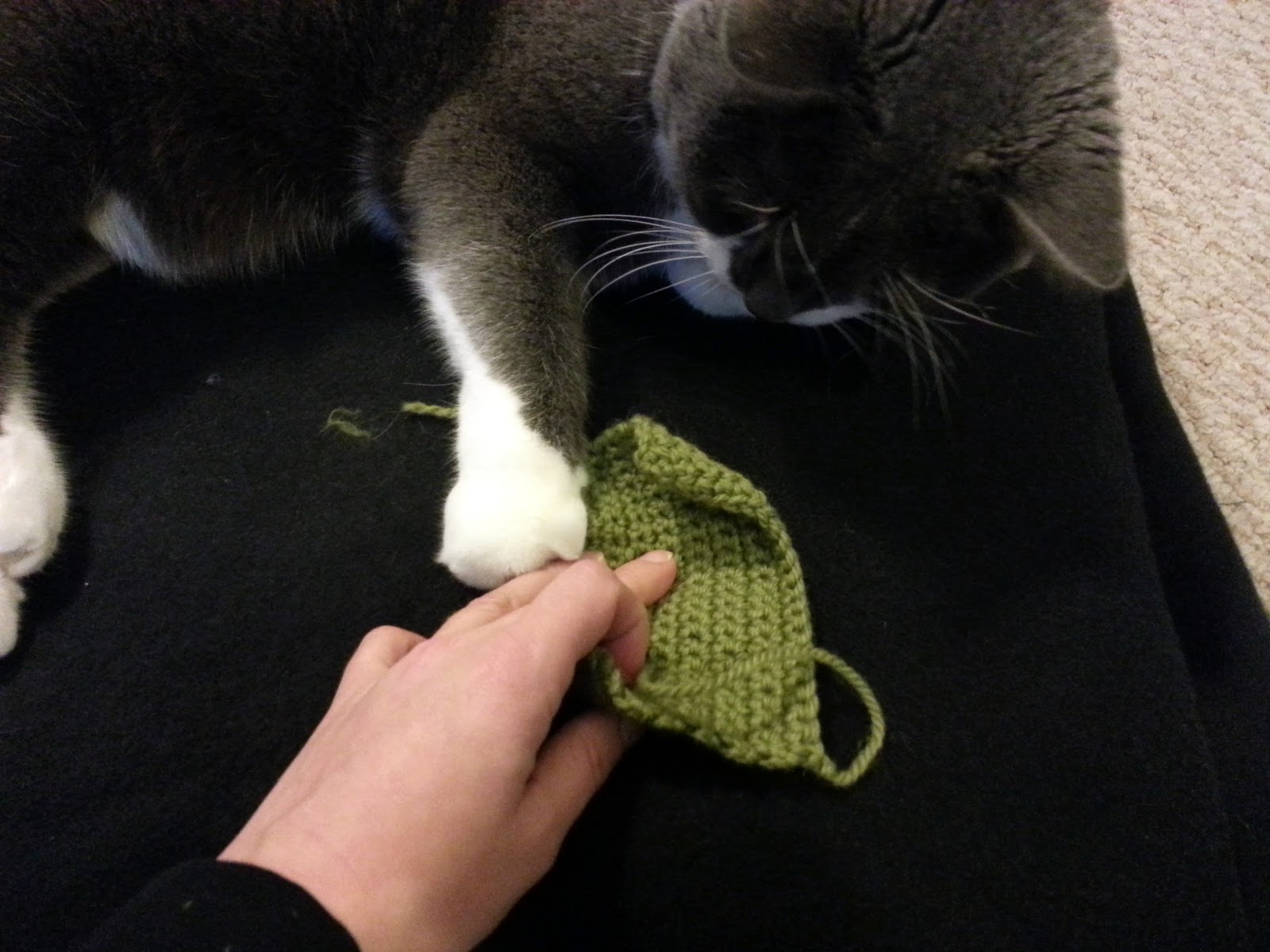 Quinn Stitch How to make Knitted Catnip Toy