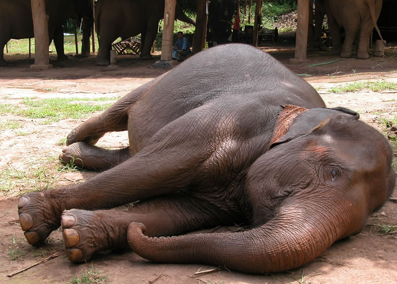 Tips & Tricks to have a better sleep