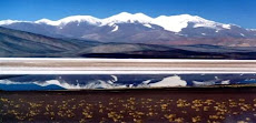 SALAR DE PIPANACO - POMÁN