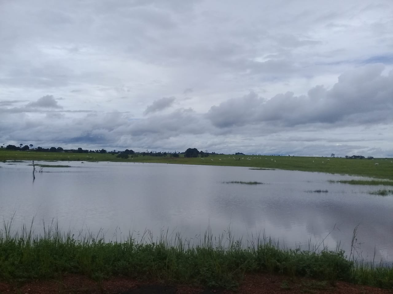 ENCHENTE%2BCASTANHEIRAS%2B16-02-2019%2B%252843%2529