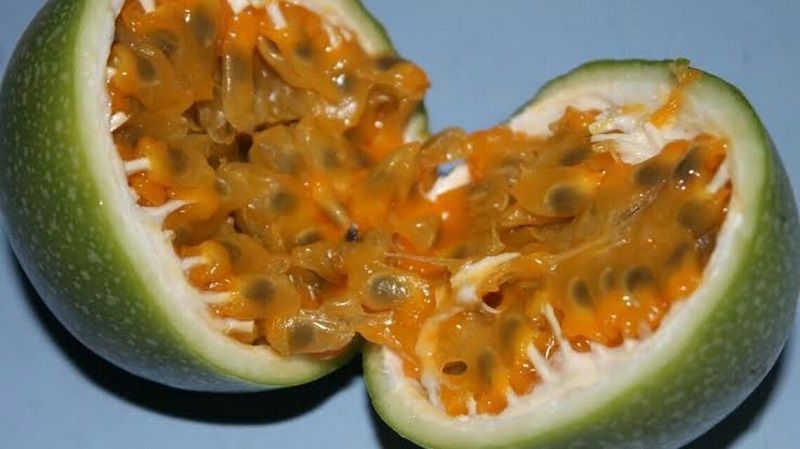 Markisa Gambar Buah Yang Mengandung Vitamin C - Markisa