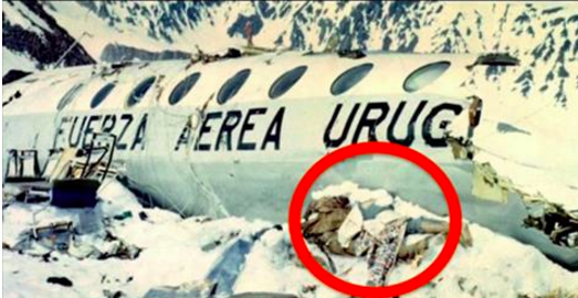 72 jours après le crash, la police découvre un terrible secret caché dans les montagnes. Mais en entendant leur histoire, ils savent qu'il est impossible de les juger.
