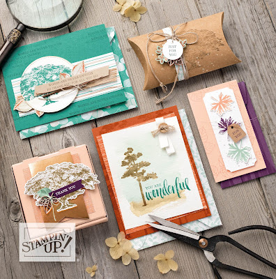 Stampin' Up! New Catalog Sneak Peek: Rooted in Nature Suite