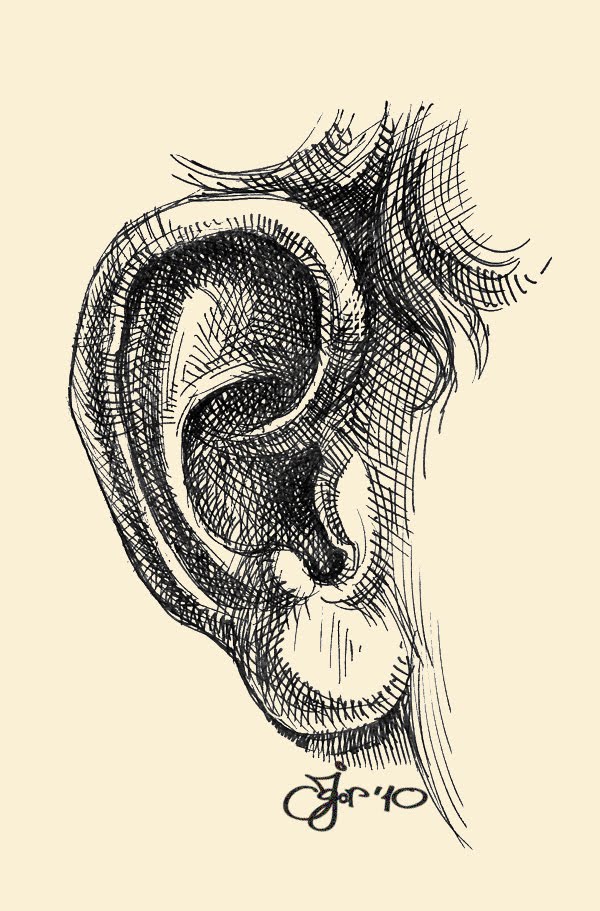 how to draw a human ear