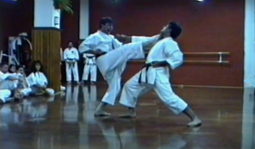 JHU-HIPPON-KUMITE / Aplicaciones por Baldor Sensei / 1992