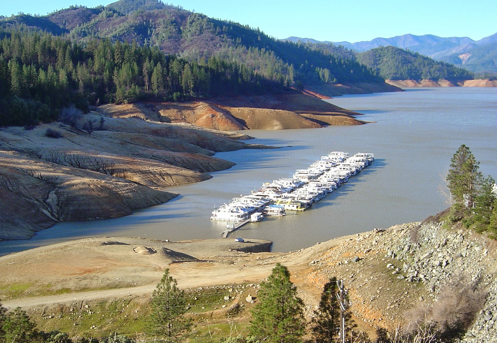 Shasta Lake Water Level Edony Ass