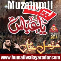 http://ishqehaider.blogspot.com/2013/11/muzammil-abbas-dasta-e-hussainia-nohay.html