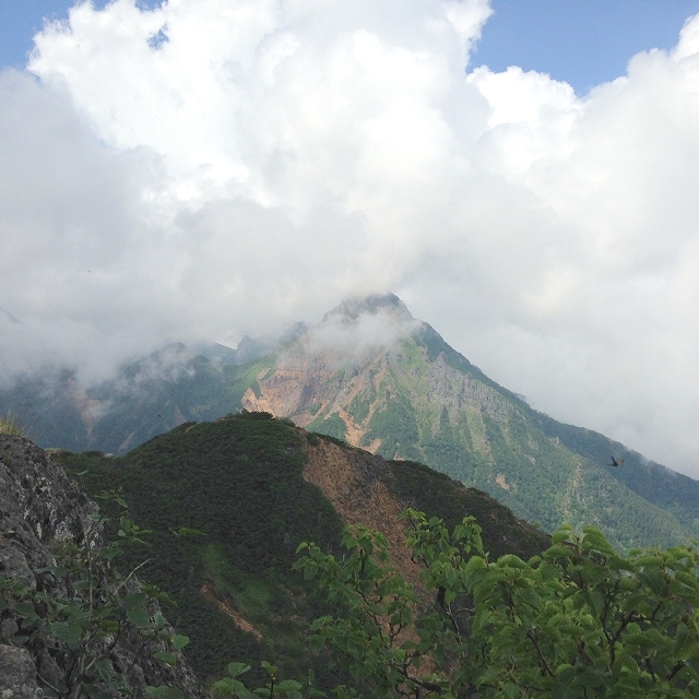 山 登ってきました のブログ記事一覧 A Letter From Osaka Tanihachi Foot Of Mt Atago