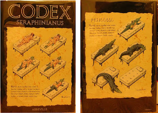 codex seraphinianus book