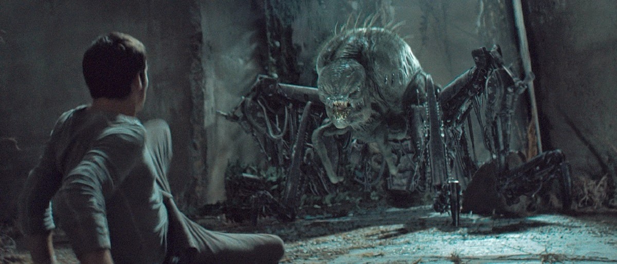 RaysFilme Horror, Thriller, ScienceFiction Maze Runner Die