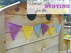 chicken coop bunting fly area natural barn picnic chickens fresh backyard fresheggsdaily eggs daily coops catcher