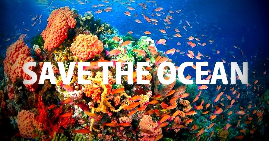 Waste Management And Save The Ocean Save The Ocean