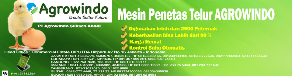 Mesin Penetas Telur Murah Agrowindo Ready Stock di 7 Kota