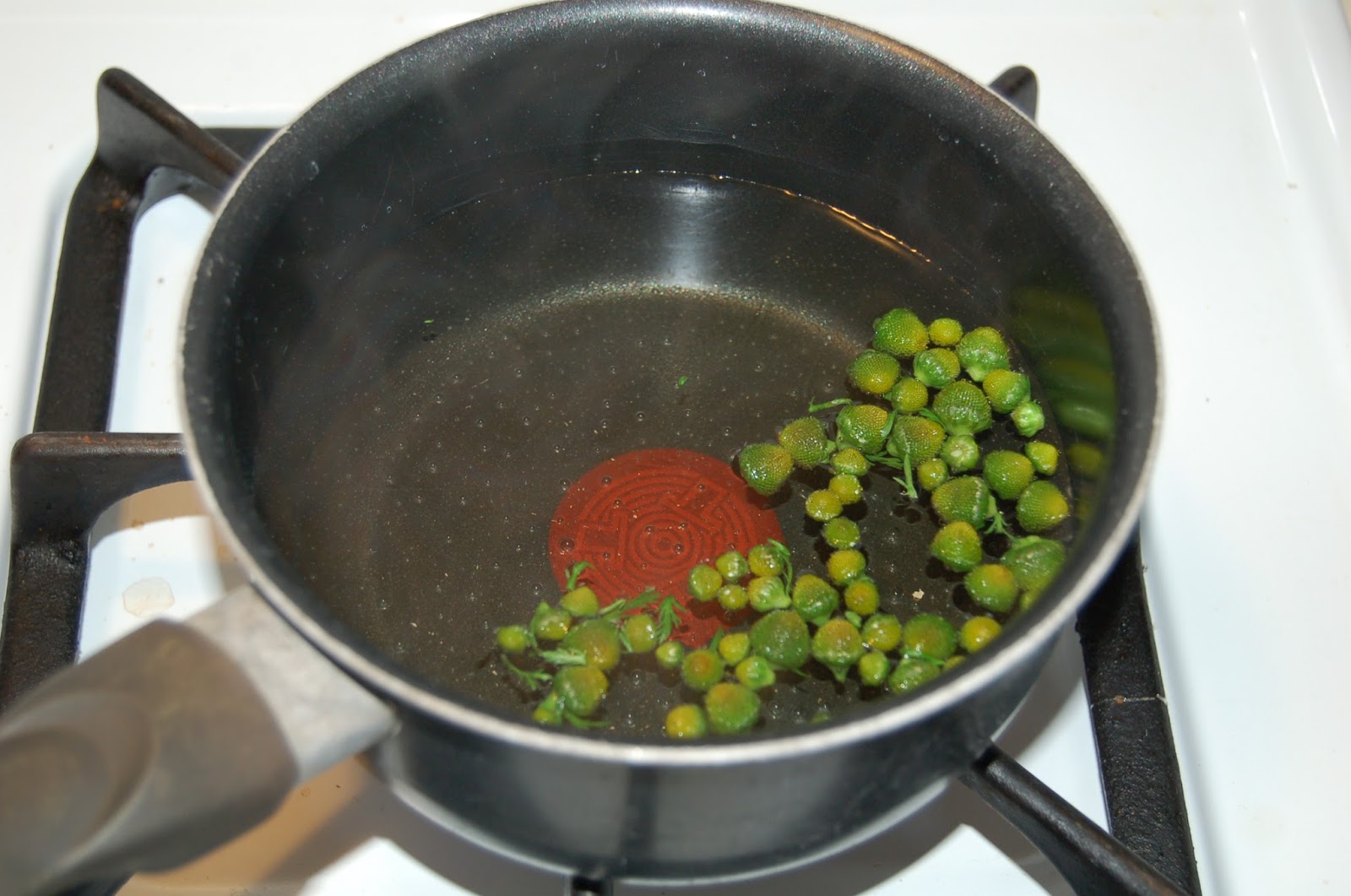 Our Little Backyard Farm Pineapple Weed Tea Herbal Tea Wild edibles