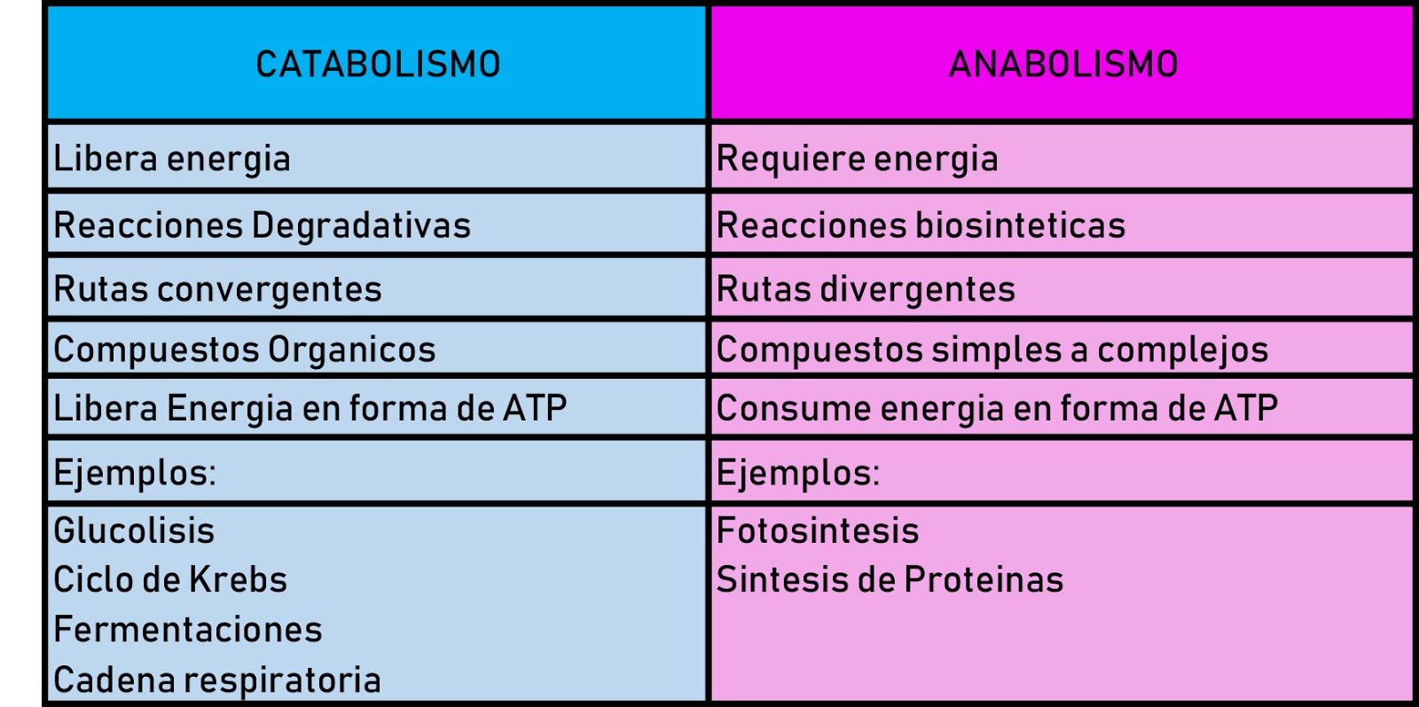 Mi Curso Propedeutico En La Unadm Metabolismo Y Catabolismo