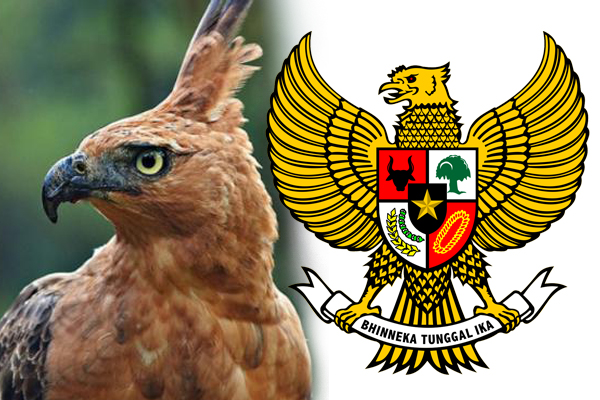 Lagu Daerah Sunda Manuk Dadali