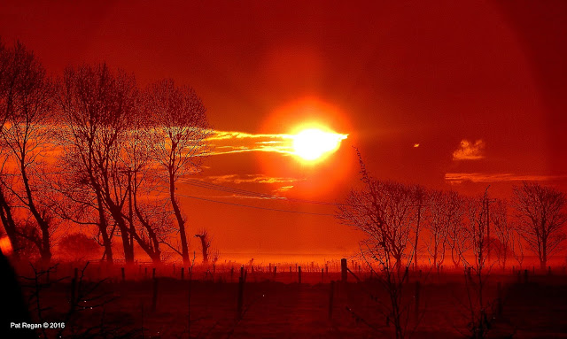 red%2Bsun%2Bsise%2B %2BCopy