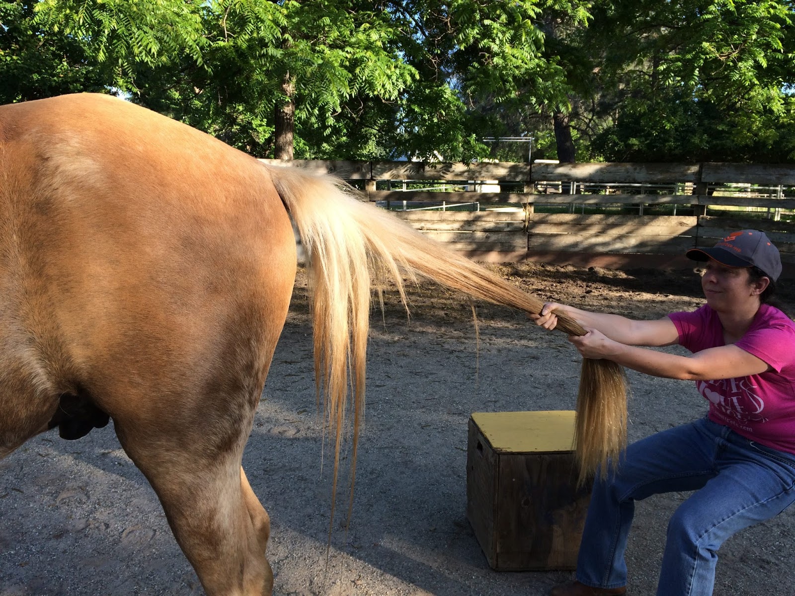 The Centauride June 2016