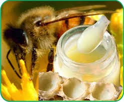 Mua mật ong, sữa ong chúa ở đâu tốt nhất