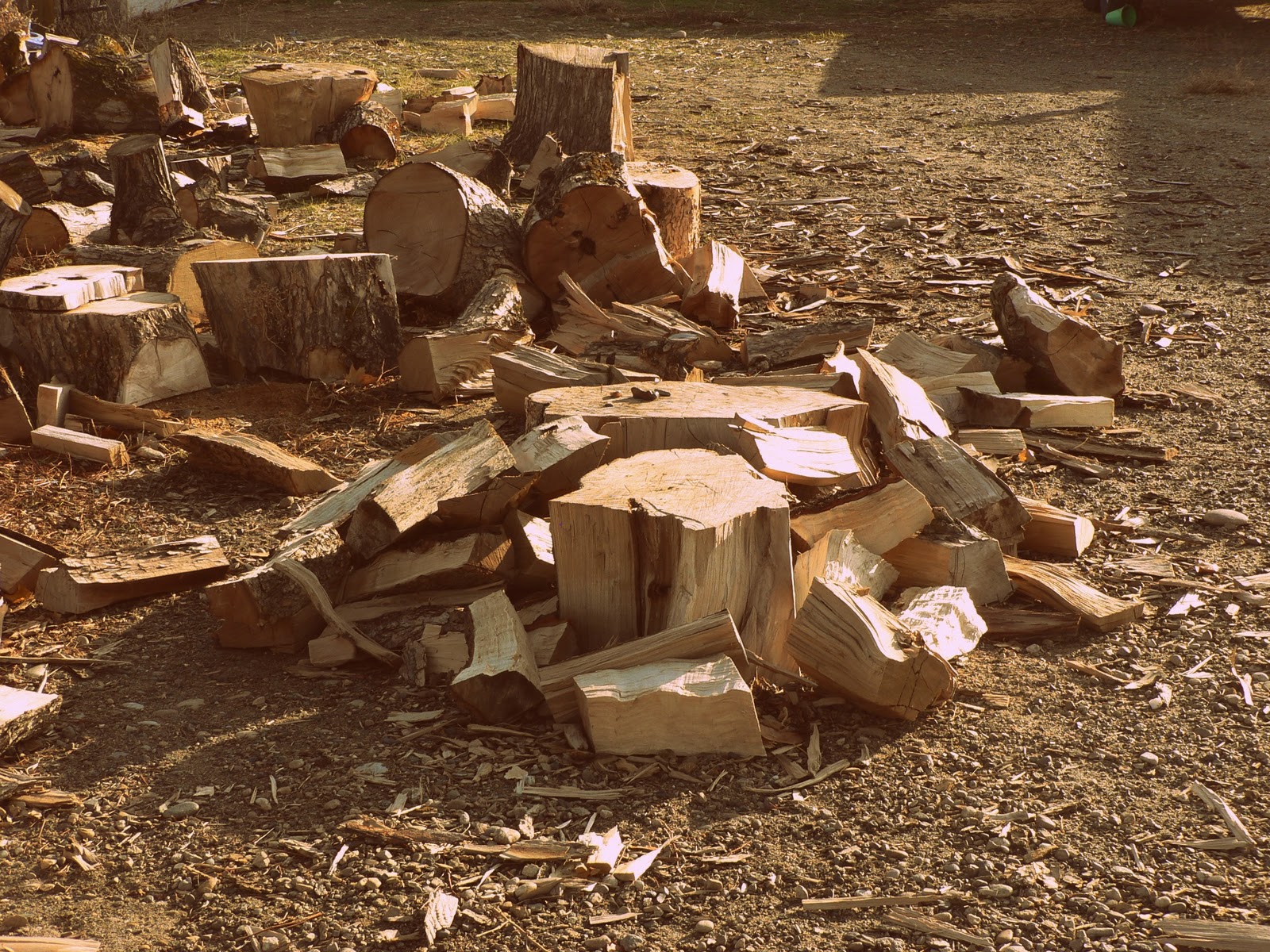 On The Farm The Old Wood Pile