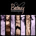 Britney Spears - The Singles Collection (Megamix)