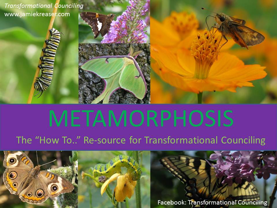 Metamorphosis Living Nature as Metaphor