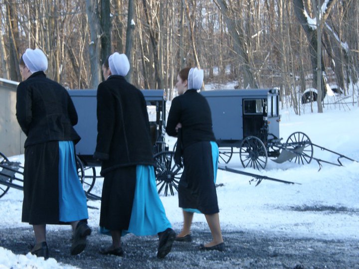 Scattered Showers in a Clear Sky My Amish Family