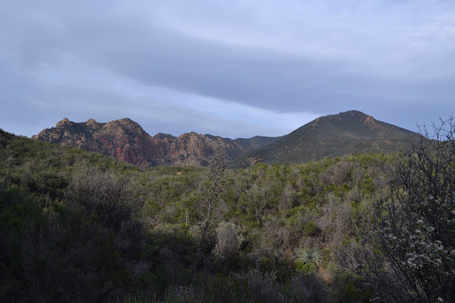 Redrock Mountain