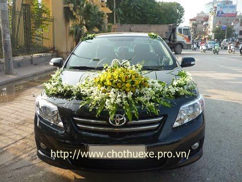 Cho thuê xe cưới giá rẻ Toyota Altis ở Hà Nội 1