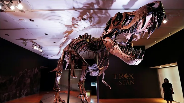 Скелет тираннозавра Стэна