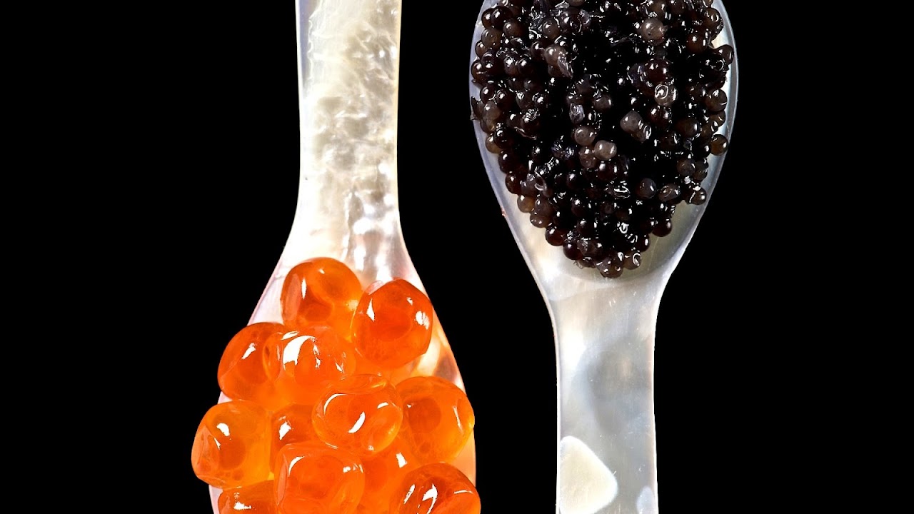 What Kind Of Fish Eggs Are Caviar Fish Choices