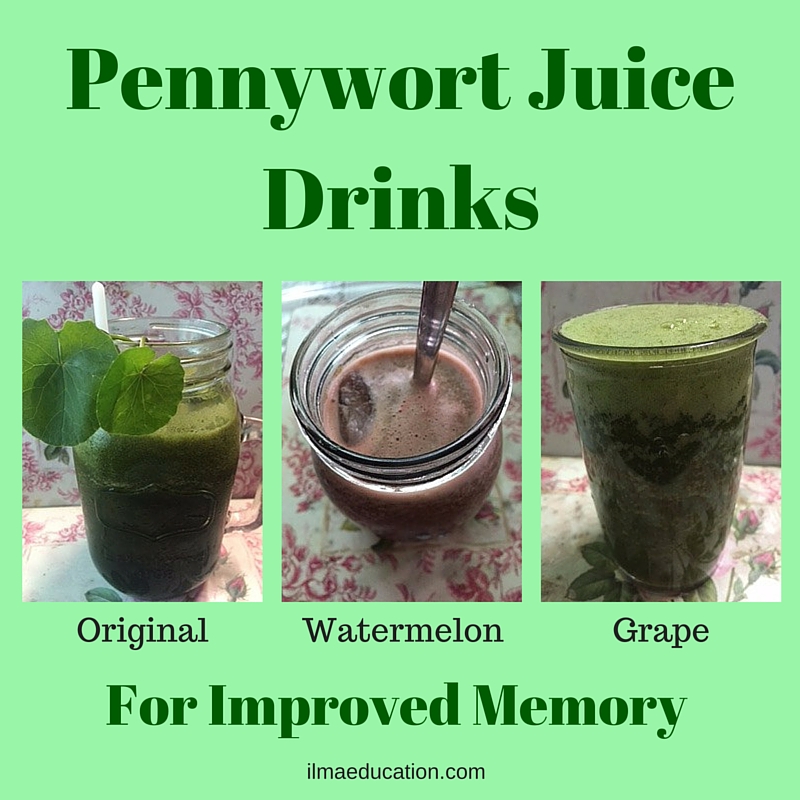 ILMA Education Brain Juice Pennywort Juice Drink