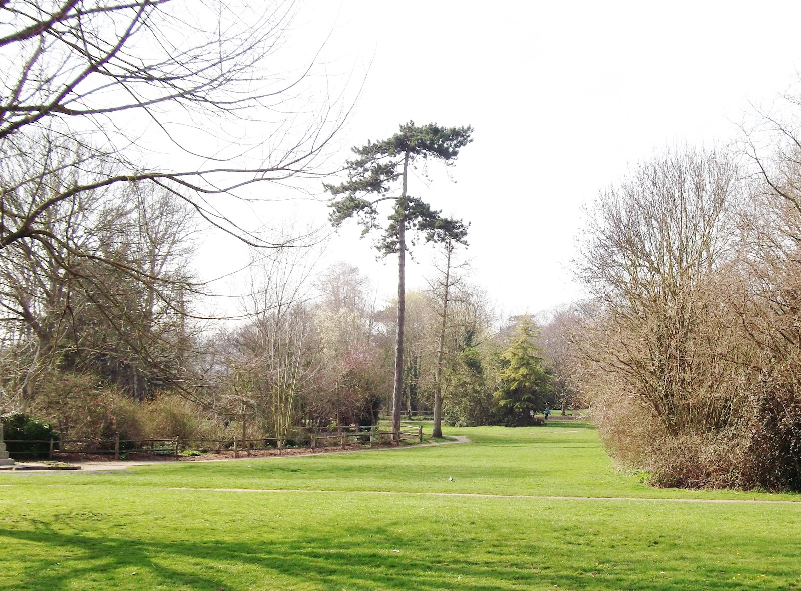 Hampden Park Eastbourne Hampden Park library to reopen Eastbourne