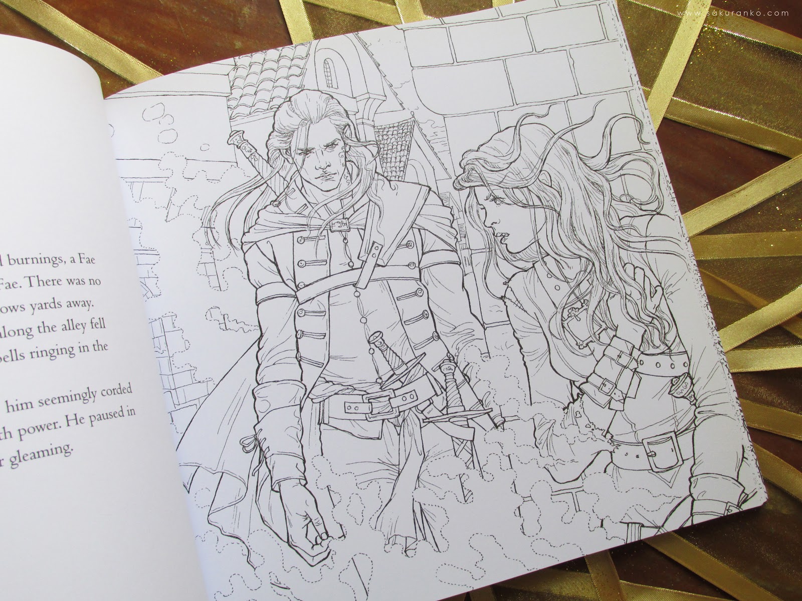Sakuranko The Throne Of Glass Colouring Book By Sarah J Maas