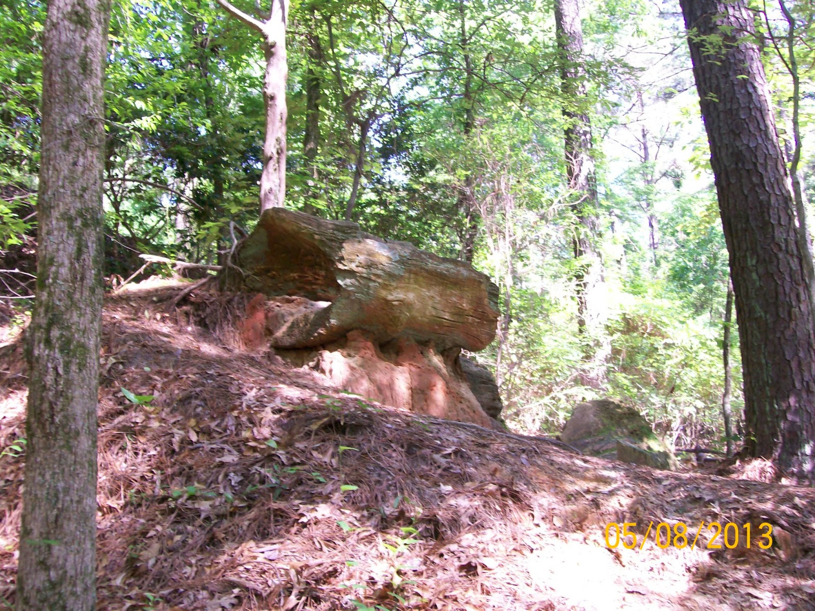 Rockhounding Around Mississippi Petrified Forest, Flora MS