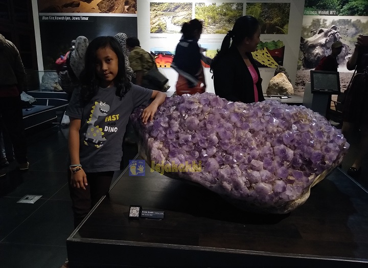 Jelajah Museum: Mengenal Semesta dan Sejarah Kehidupan di Museum Geologi Bandung
