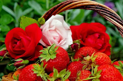 good-mornings-with-rose-strawberry-photos