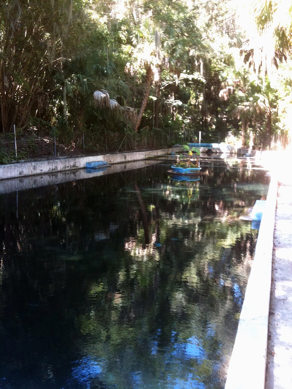 Old Florida Gainesville's Glen Springs