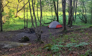 tent in the forest 