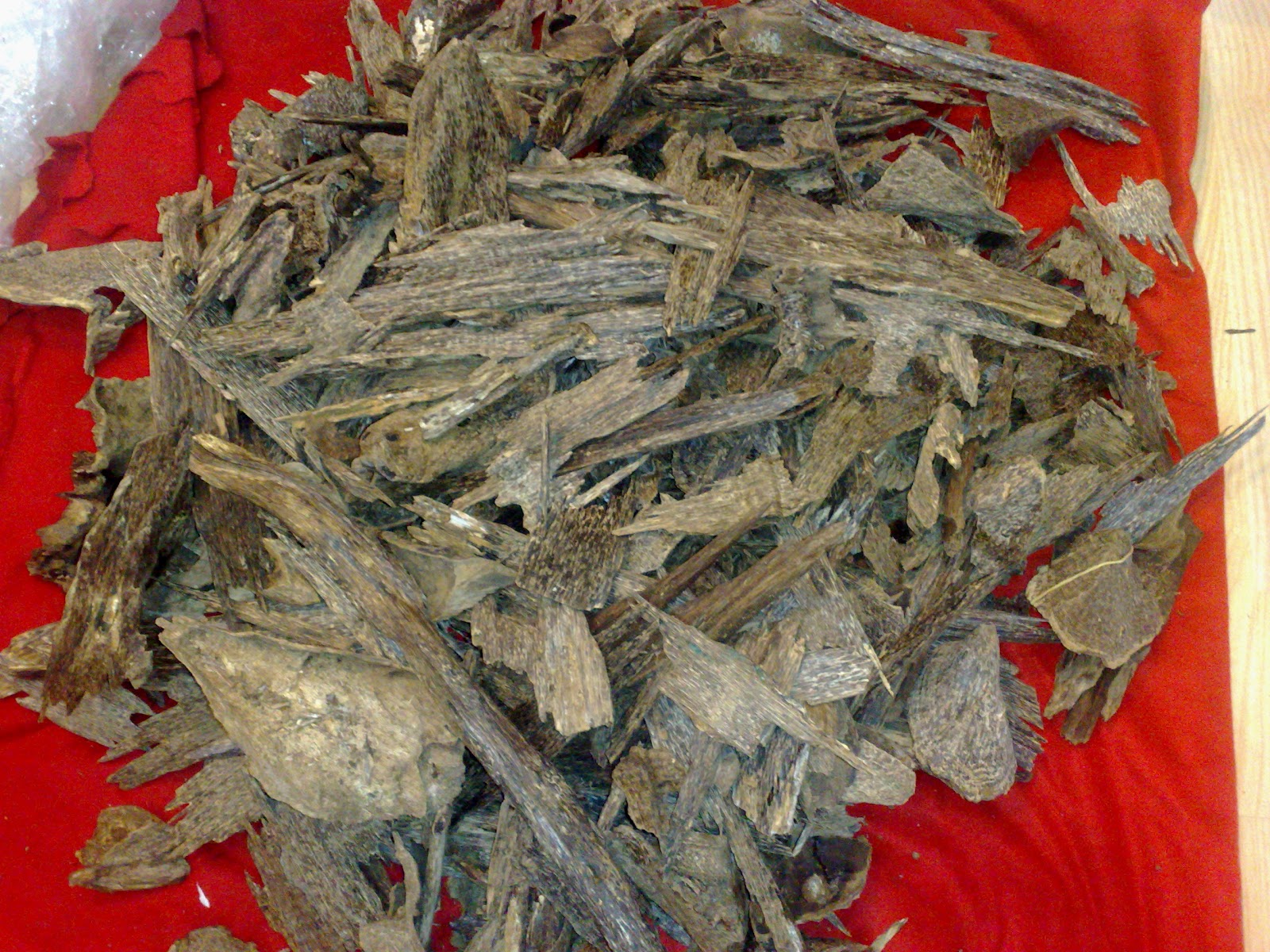 اجود انواع العود