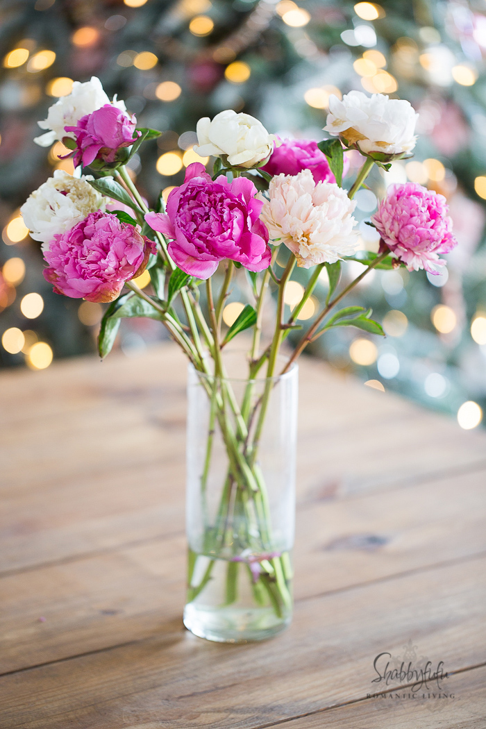 How To Force Peonies To Open And Bloom Quickly Shabbyfufu