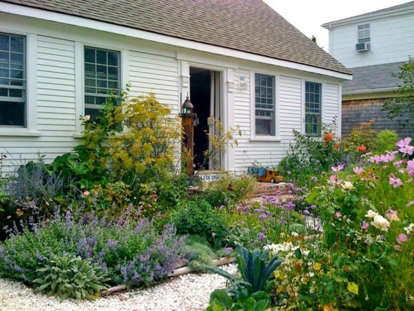 Ideas for garden design for beginner